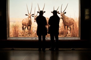 Amazing colour photos