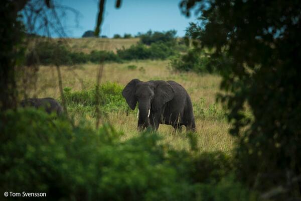 CPN photo of the day