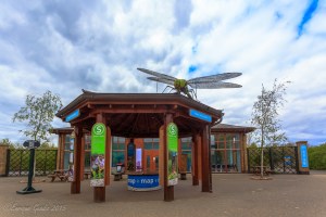 WWT Wetlands Centre